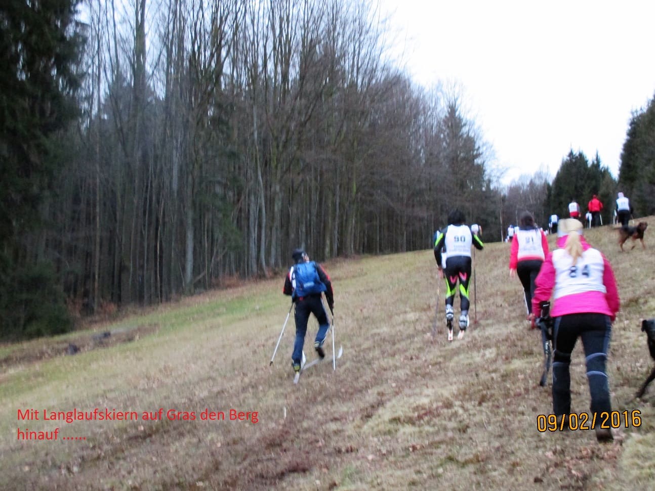 Bild zum Beitrag „Mountain Run 2016“