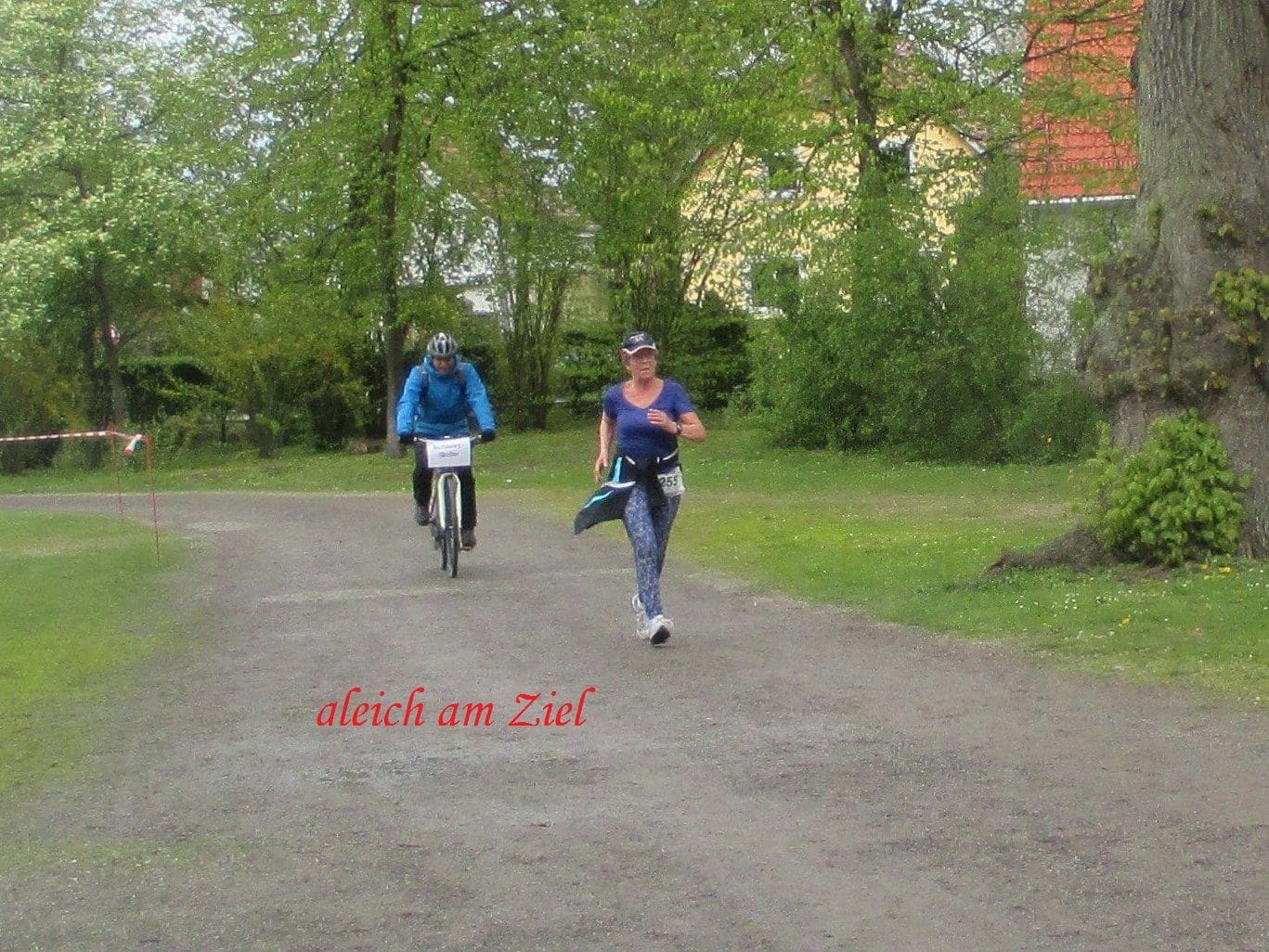 Bild zum Beitrag „Naabtallauf 2017“
