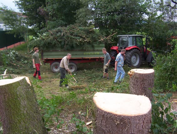Bild zum Beitrag „22.08.2009: Baum fääääääääälllllllt!!!“